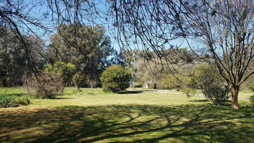Oportunidad Casa 7500 M2 Sobre 2 Lotes - Abasto
