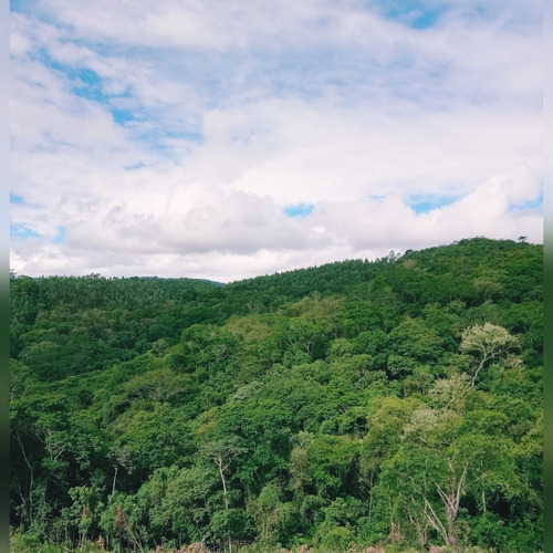 Imagem 8 de 14 de A01- Desconto De Terrenos 1.000m2 Plainos Prox A Represa !!!