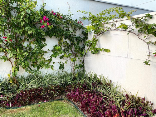 Imagem 11 de 30 de Casa À Venda Em Parque Dos Resedás - Ca010482