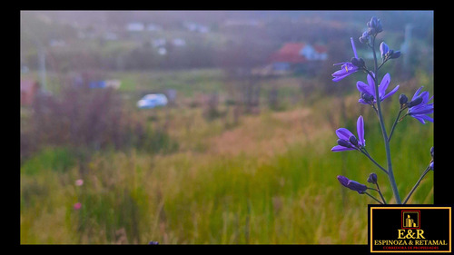 Terreno Sector Las Arenitas , Santa Juana (67674)