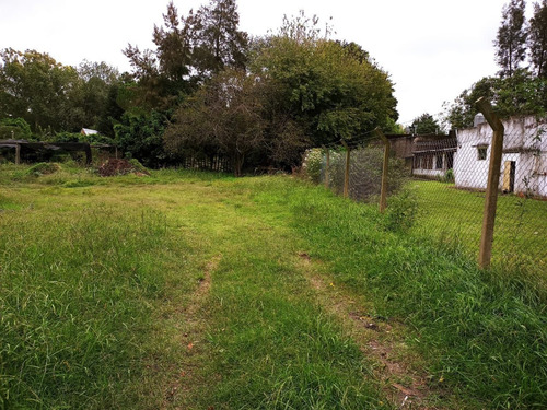 Imagen 3 de 10 de Lote En Venta En Villa Elisa Sobre 419 (arana