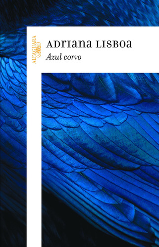 Azul corvo, de Lisboa, Adriana. Editora Schwarcz SA, capa mole em português, 2014
