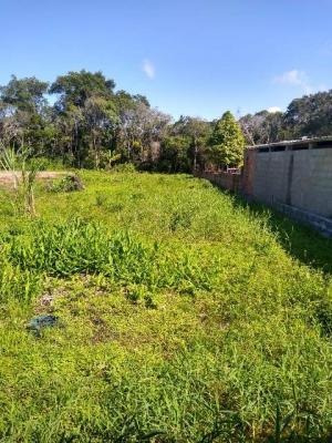 Imagem 4 de 13 de Ótima Chácara À Venda Em Itanhaém- Jd. Parapuã,1dorm. 8071