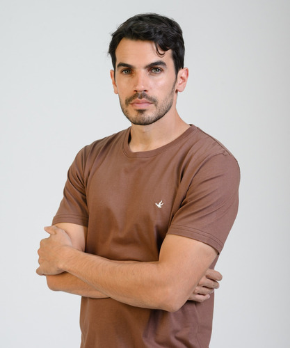 Remeras Hombre Brooksfield Algodón Premium Lisa Moda 1091b