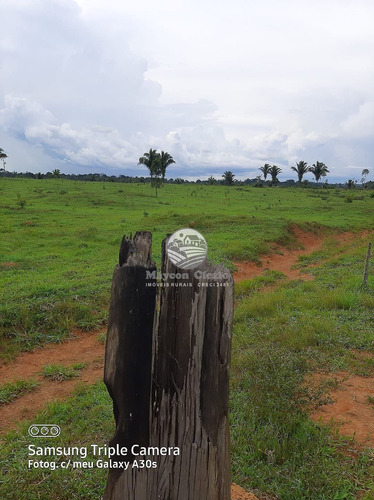 Imagem 2 de 11 de Venda Sítio Vale Do Anari Em Rondônia - Sig309