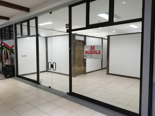 Imagen 3 de 14 de Local Ideal Para Despachos Profesionales, Oficinas O Comercio De Servicios En General.