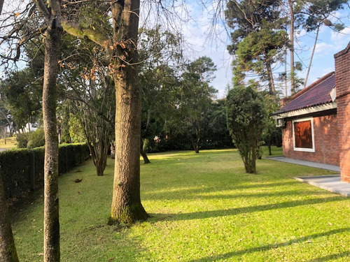 Imagen 6 de 30 de Casa - San Rafael