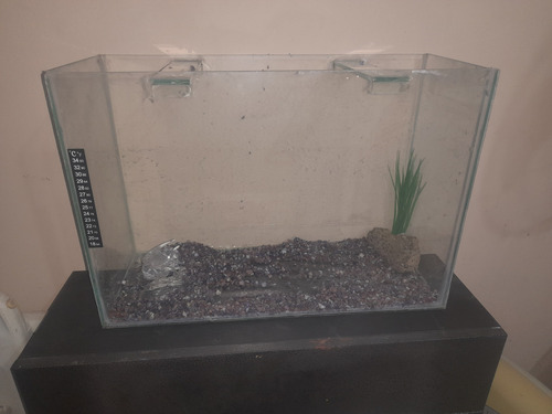 Pecera Terrario Con Accesorios 50.x 34 X 20 Ramos Mejia (Usado)