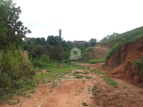 Imagem 9 de 22 de Terreno Amplo Para Desenvolvimento Imobiliário. - Te0019