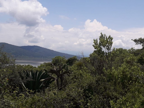 Imagen 2 de 7 de Terreno En Venta En Oponguio Con Vista Al Lago