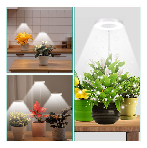 M Aplanta Telescópica Grow Light De Espectro Completo