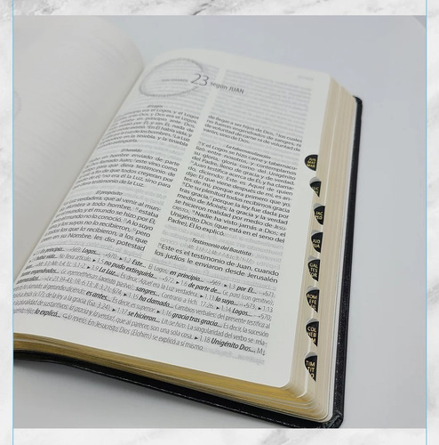 Imagen 5 de 8 de Biblia Textual Iv Edición Imit. Piel Negro Cierre E Indices