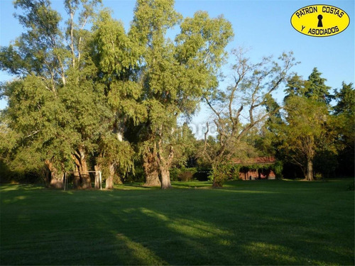 Imagen 3 de 17 de 1384hp- Chacra Pileta Galpón Casa Huéspedes Rp 192 - Torres