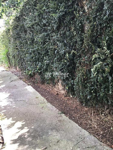 Venda Terreno Até 1.000 M2 Jardim Santa Mena Guarulhos R$ 1.200.000,00 - 36953v