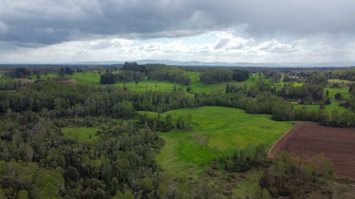 Campo En La Unión Cercano Al Lago Ranco 27,4 Hectáreas