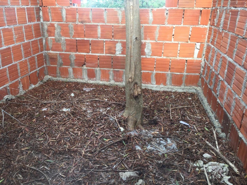 Imagen 7 de 8 de Exelente Terreno Con Mejoras