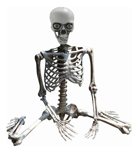 Objeto De Halloween Articulado Humano Esqueleto Decoración F