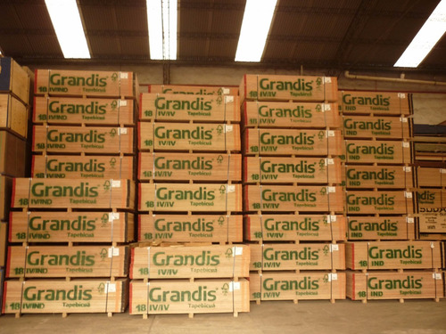 Imagen 6 de 7 de Placa Fenolico Grandis Industrial 18mm 1,22 X 2,44- Maderwil