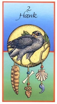 Medicine Cards, Estas Cartas Y Libro Están En Ingles