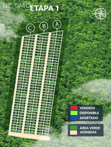 Imagen 8 de 8 de Terreno En Carretera Merida Progreso Gran Plusvalia Cerca De Playas