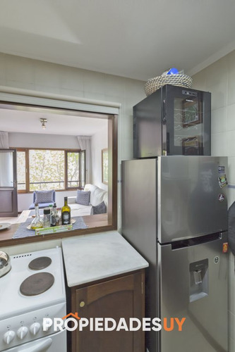 Imagen 9 de 24 de Impecable Apartamento En Peninsula