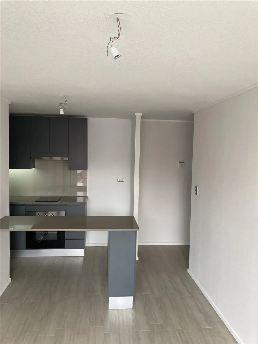 Imagen 4 de 17 de Arriendo Departamento 1d 1b Con Estac. Prat 655. Santiago.