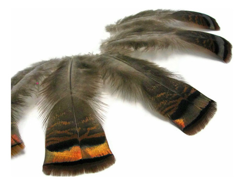 5 Pieza  Natural Wild Turquia Flats Pluma Bronce Smudging