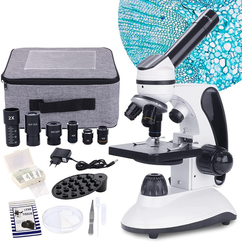 Microscopio - Bebang - 40x-2000x