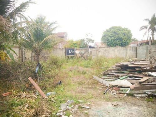 Imagem 4 de 7 de Terreno - Te00008 - 70477405