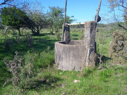 Campo De 20 Has A 88 Km De Montevideo