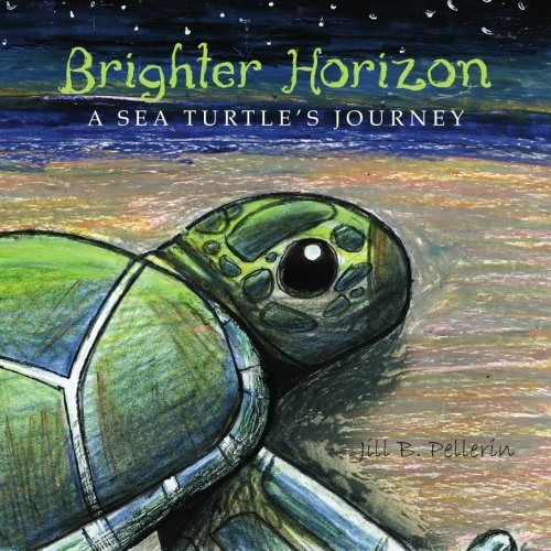 Brighter Horizon A Sea Turtles Journey