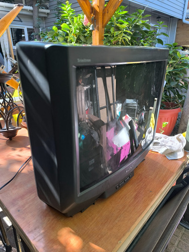 Televisor Triniton Kv-21rs20c/7 Sony (Usado)