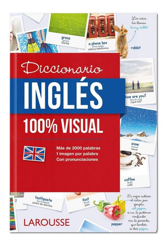 Diccionario De Ingles 100% Visual - Aa.vv