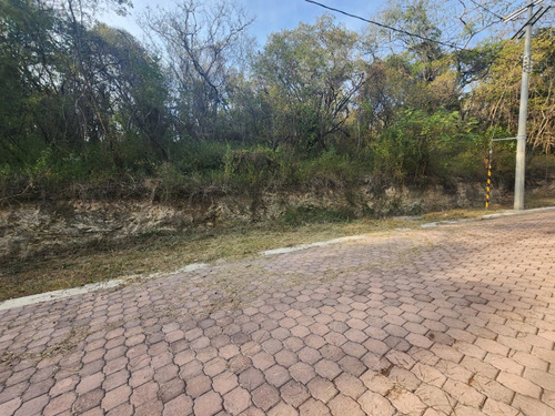 Venta Lote Gladiola 31 Muy Cerca De La Entrada Y En Nueva Zona De Fracc Rancho San Diego Ixtapan De La Sal Edomex Con Todos Los Servicios Y Proyecto Incluído