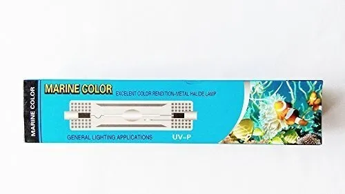 Marina Color Marca 250w Hqi 10.000 K Doble Composición Fc2 R
