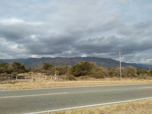 Imagen 2 de 7 de Dueño Directo: Liquida Última Hectarea A Precio De Preventa