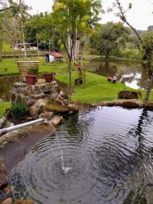 Imagem 9 de 14 de Rancho Em Pedro De Toledo 14000m² Com 5dorm, 8377