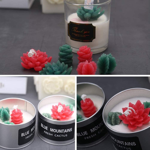 . 6 Molde Suculento Silicone Moldes Resina Flor Cacto