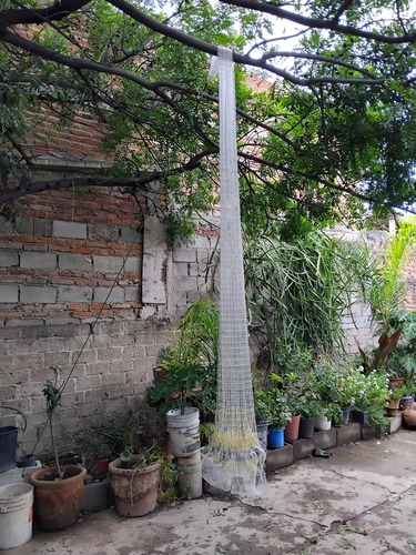 Atarrayas 3 Metros Altura Con Plomo Abre 6 2 3/4 3 Puntas Blanco