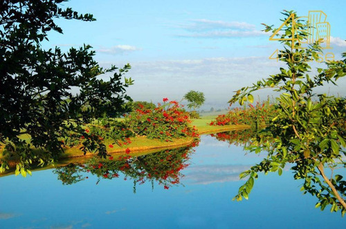 Imagem 26 de 30 de Projeto De Carolina Proto, Nesta Casa Na Fazenda Boa Vista (fase 8) | Exclusividade E Conforto Em Perfeita Harmonia Com A Natureza! Janeiro/2023 - Ca0488