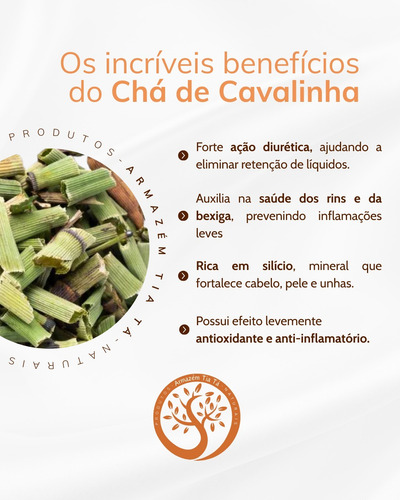 Chá Herbal Cavalinha Desidratada 500g - Armazém Tia Tá