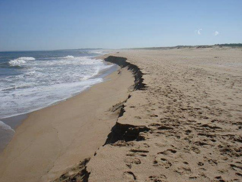 Lote | Oceano Atlantico