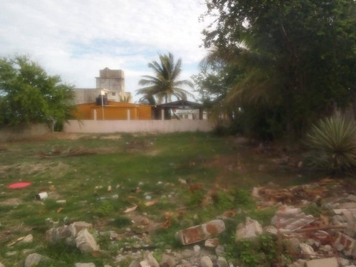 Imagen 3 de 4 de Terreno En Venta Coyuca De Benitez A 60 Metros Del Mar