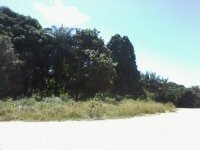 Imagem 7 de 14 de Terreno Medindo 400mts2 Mais 600 De Area De Preservação B.