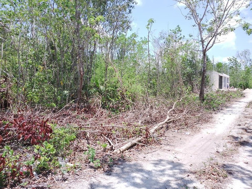 Lotes En Ventas De 220m2 Entrando A Long Island Cancun