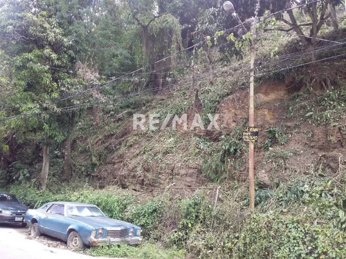 Imagen 7 de 8 de En Venta Terreno En El Sector Figueroa.