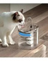 Tercera imagen para búsqueda de fuente de agua para gatos