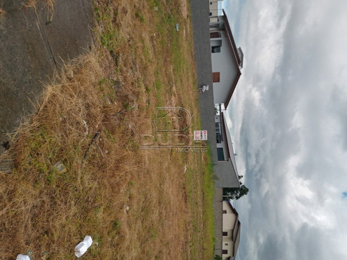 Imagem 2 de 3 de Terreno - Jardim Elizabete - Ref: 33988 - V-33985