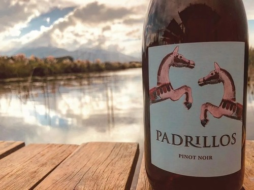Padrillos Pinot Noir Ernesto Catena 750ml. Caja 6 Botellas