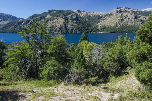 Imagen 4 de 9 de Fabienne Edelberg Fe Propiedades Venta 4 Hectareas En Lago Meliquina